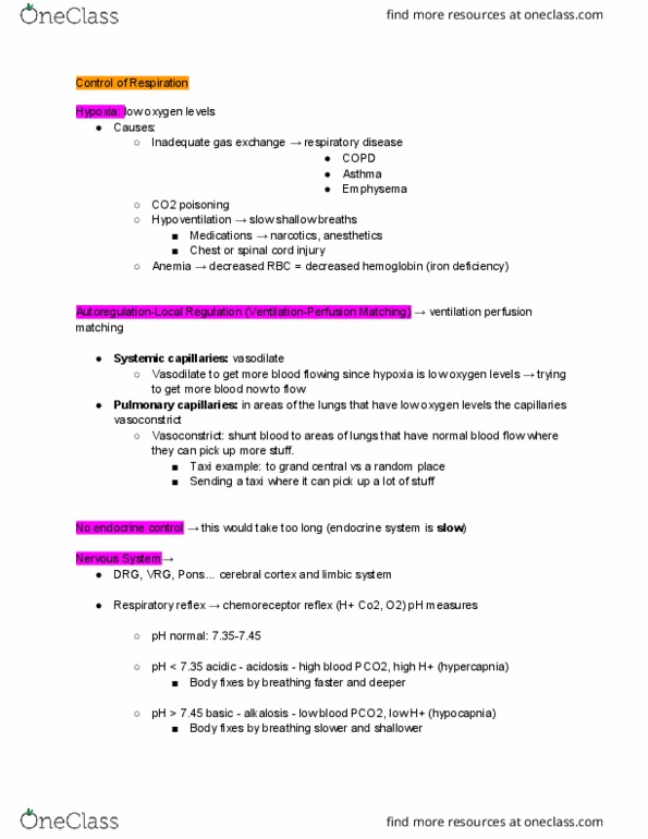 BIOL 222 Lecture Notes - Lecture 16: Hypercapnia, Hypocapnia, Breathe Slow thumbnail