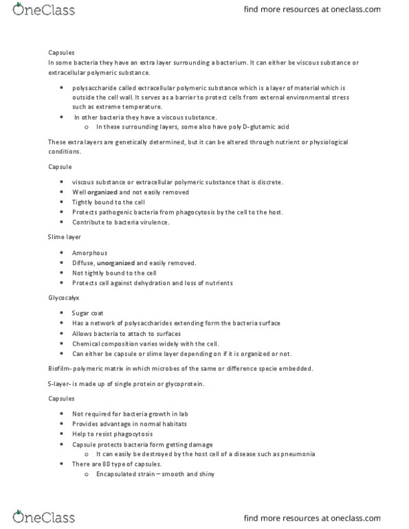 BIOC17H3 Lecture Notes - Lecture 11: Extracellular Polymeric Substance, Glycocalyx, Biofilm thumbnail