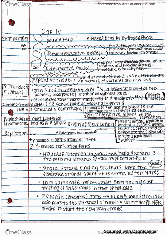 BIOL 142 Lecture 17: dna replication thumbnail