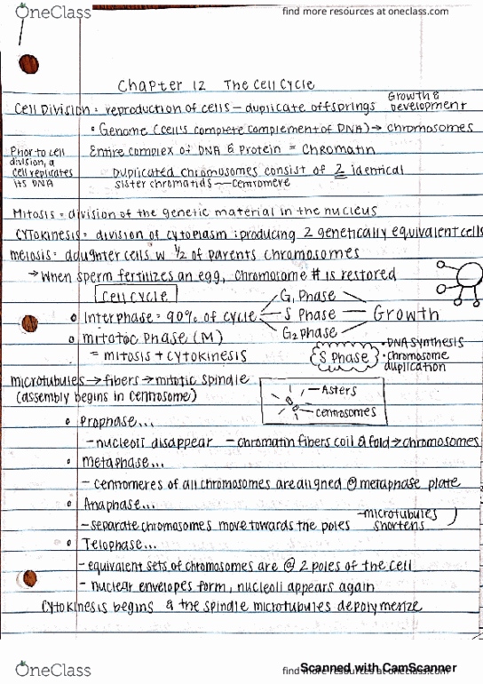 BIOL 142 Lecture 18: cell cycle thumbnail