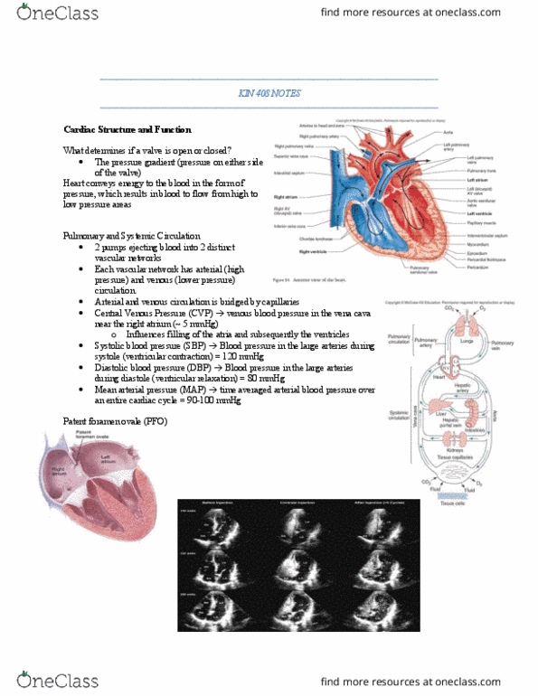 KIN408 Lecture Notes - Lecture 1: Atrial Septal Defect, Mean Arterial Pressure, Diastole thumbnail