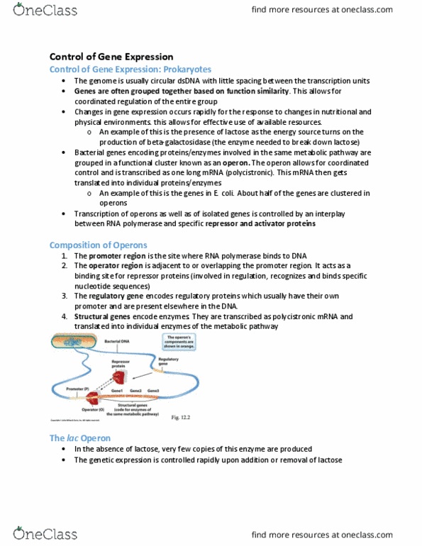 BIOB11H3 Lecture Notes - Lecture 8: Lac Operon, Lac Repressor, Operon thumbnail