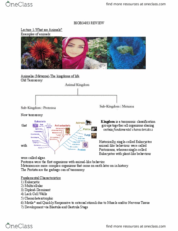 BIOB34H3 Lecture Notes - Lecture 1: Gastrulation, Animal, Blastula thumbnail