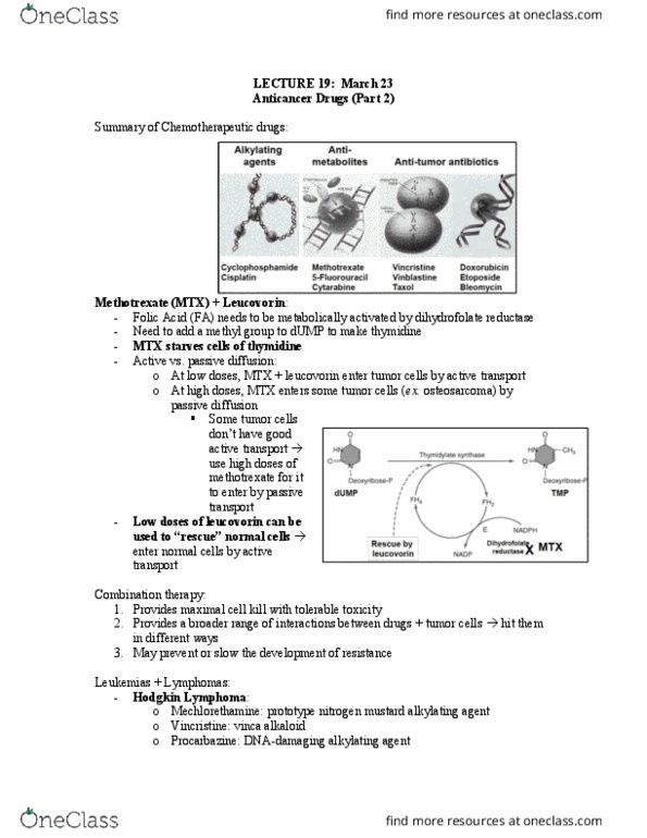 PHAR 301 Lecture Notes - Lecture 19: Vinca Alkaloid, Folinic Acid, Procarbazine thumbnail