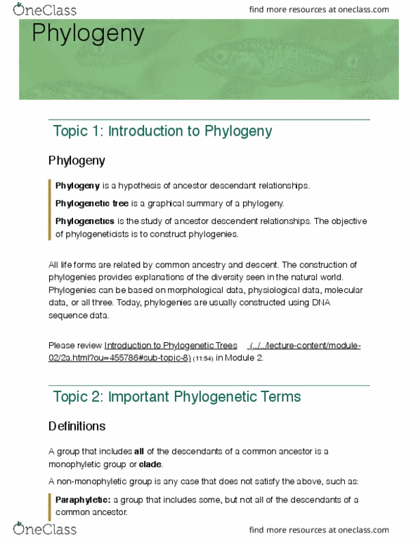 BIOL359 Lecture Notes - Lecture 6: Molecular Phylogenetics, Phylogenetic Tree, Monophyly thumbnail