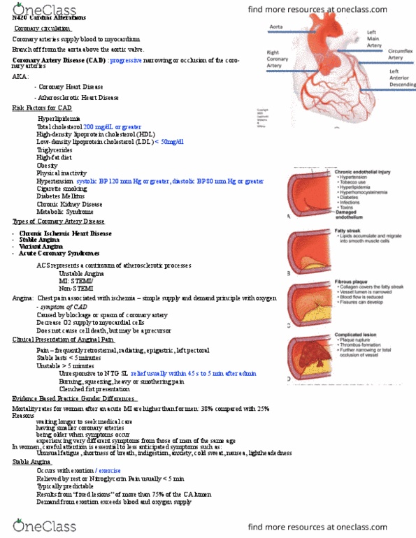 NURS 420 Lecture 3: N420 Acute Coronary Syndrome thumbnail