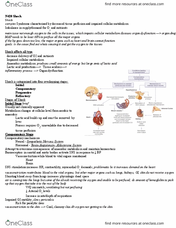 NURS 420 Lecture Notes - Lecture 10: Ileus, Lactic Acidosis, Metabolic Acidosis thumbnail