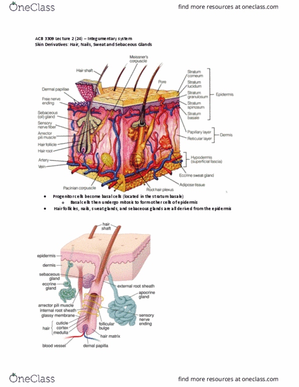 document preview image