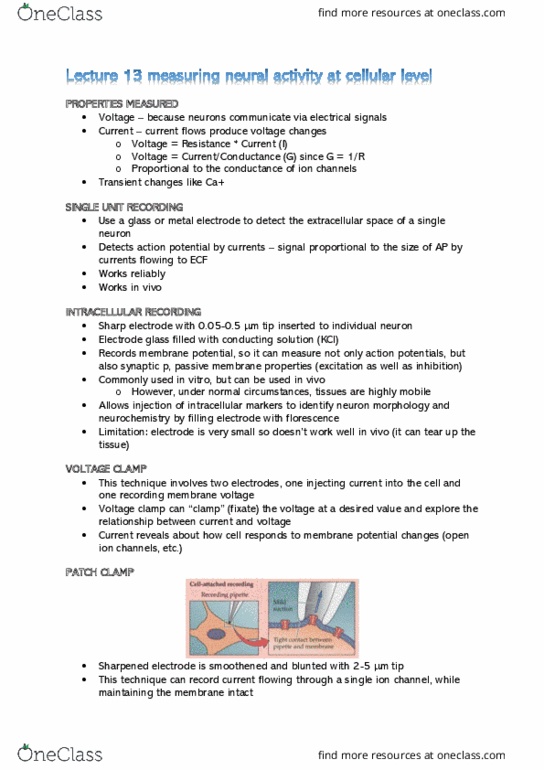 NEUR30002 Lecture Notes - Lecture 13: Voltage Clamp, Current Clamp, Membrane Potential thumbnail