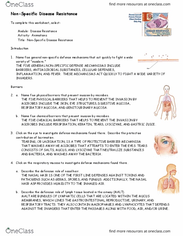 BIO 291 Lecture Notes - Lecture 2: Nasal Hair, Mucosa-Associated Lymphoid Tissue, Tears thumbnail