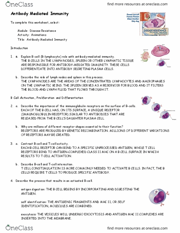 BIO 291 Lecture Notes - Lecture 3: Mhc Class Ii, B Cell, Exocytosis thumbnail