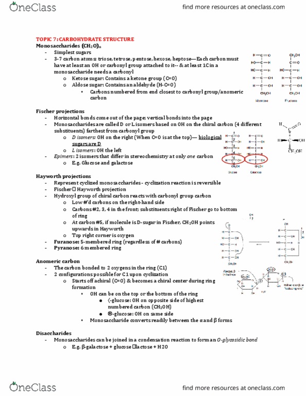 Biochemistry 2280A Lecture Notes - Lecture 7: Anomer, Tetrose, Furanose thumbnail