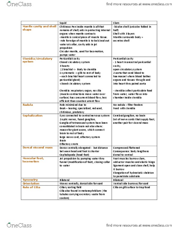 BIO 2135 Study Guide - Winter 2014, Final - Planula, Triploblasty, Hydrozoa