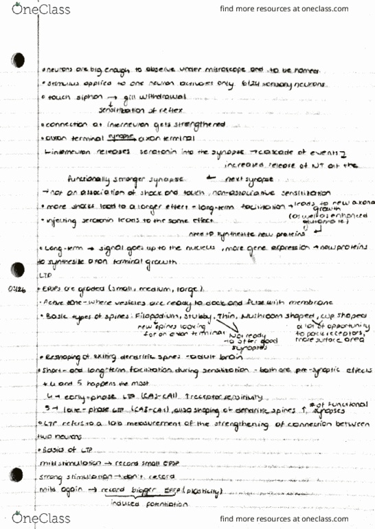 document preview image