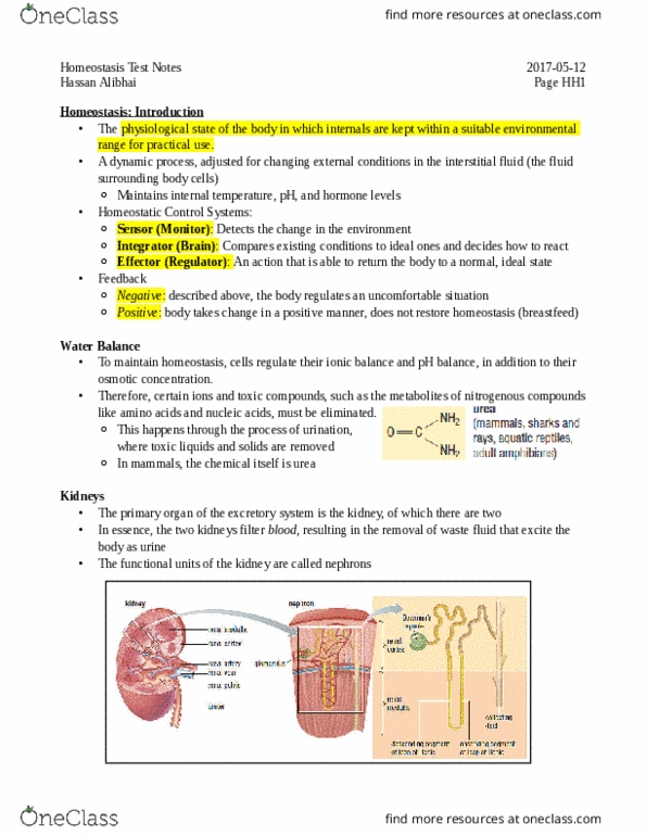 BIOA11H3 Lecture Notes - Lecture 8: Extracellular Fluid, Osmotic Concentration, Homeostasis thumbnail