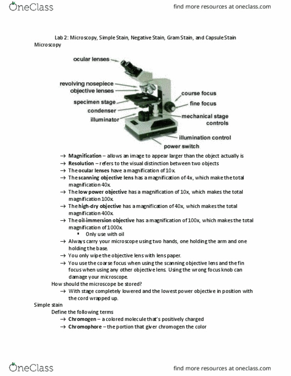 Biology BIO 2440 Lecture Notes - Lecture 2: Gram Staining, Negative Stain, Chromophore thumbnail