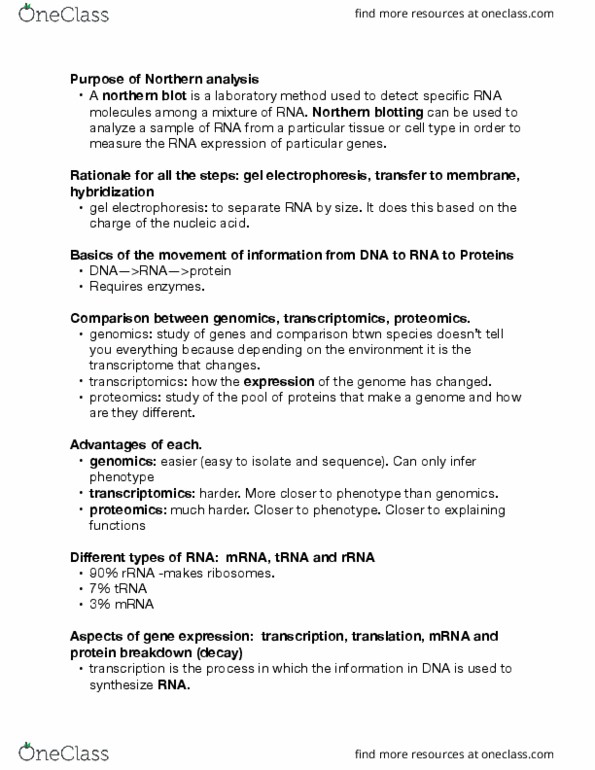 Biology 1002B Lecture Notes - Lecture 3: Transfer Rna, Ribosomal Rna, Genomics thumbnail
