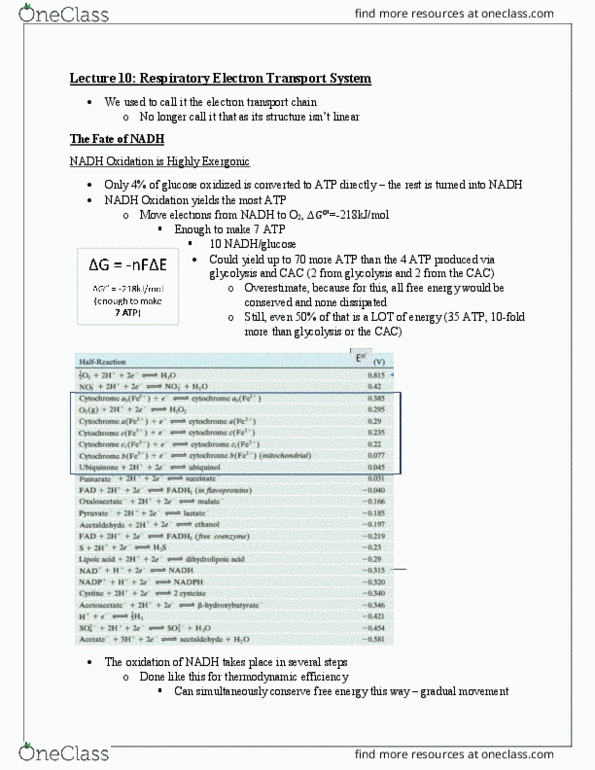 document preview image