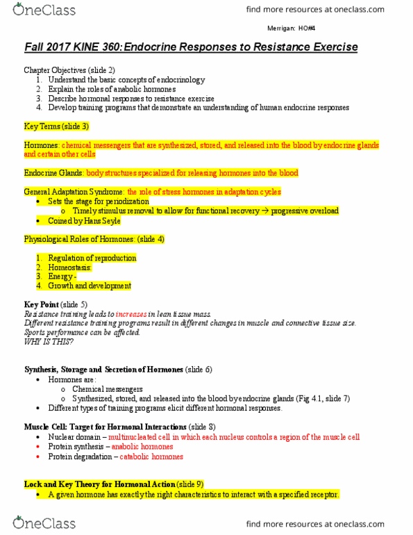 KINE 360 Lecture Notes - Lecture 4: Strength Training, Endocrinology, Cell Nucleus thumbnail