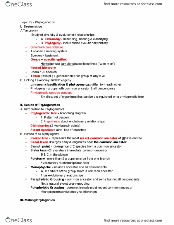 01:119:115 Lecture Notes - Lecture 22: Descent Ii, Branch Point, Phylogenetics thumbnail