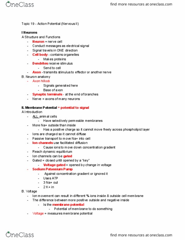 01:119:116 Lecture Notes - Lecture 19: Action Potential, Axon Hillock, Facilitated Diffusion thumbnail