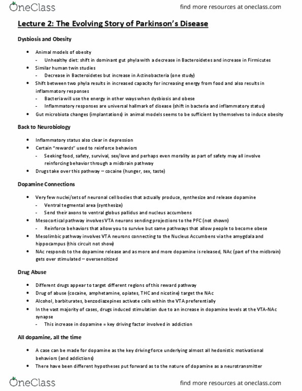 HMB300H1 Lecture Notes - Lecture 2: Mesocortical Pathway, Mesolimbic Pathway, Nucleus Accumbens thumbnail