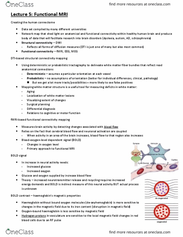 JHA410H1 Lecture Notes - Lecture 5: Cerebral Circulation, Tractography, Hemoglobin thumbnail