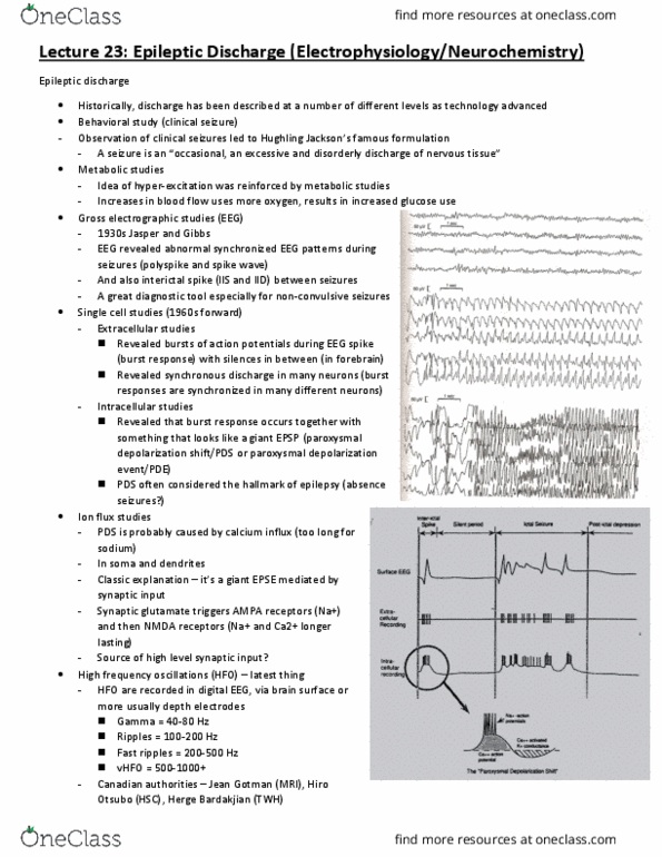 PCL475Y1 Lecture Notes - Lecture 23: Absence Seizure, Paroxysmal Attack, Electrophysiology thumbnail