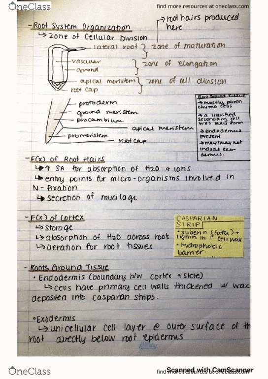 BLG 230 Lecture 2: lecture 2 thumbnail