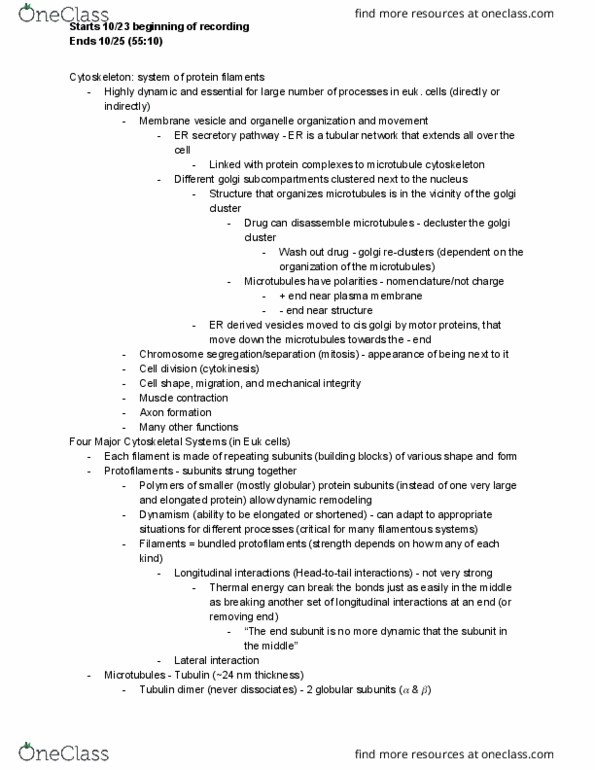 BIO 320 Lecture Notes - Lecture 11: Globular Protein, Secretion, Actin thumbnail