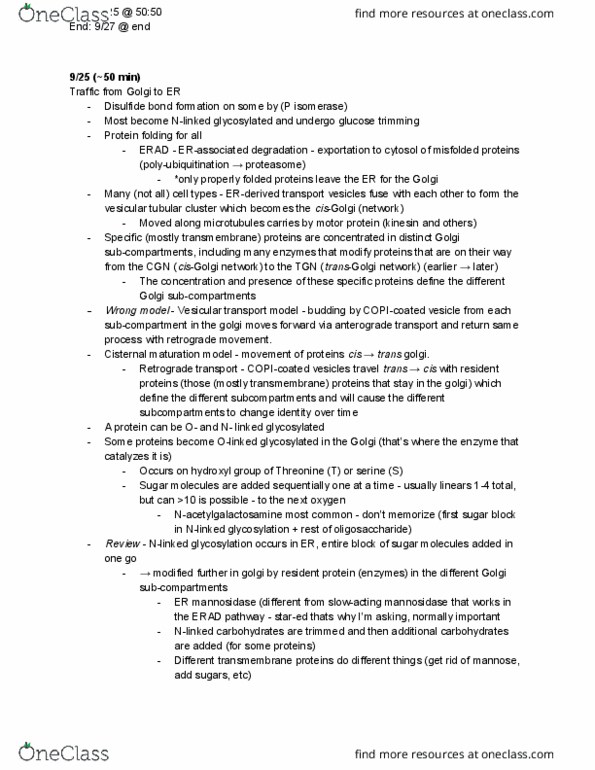 BIO 320 Lecture Notes - Lecture 6: Glycosylation, Protein Folding, Disulfide thumbnail