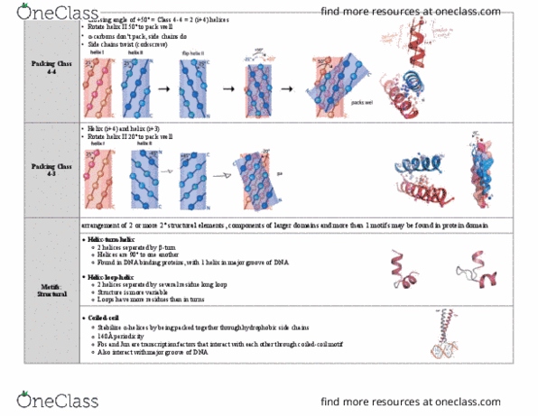 BCH 3125 Lecture Notes - Lecture 9: Protein Structure, Myoglobin, Ethiopian Aristocratic And Court Titles thumbnail