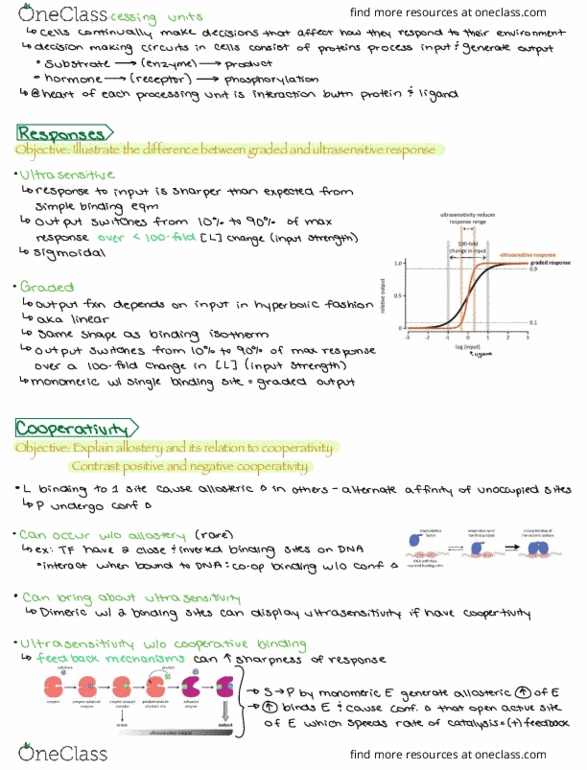 BCH 3125 Lecture Notes - Lecture 1: Ultrasensitivity, Allosteric Regulation, Hemoglobin thumbnail