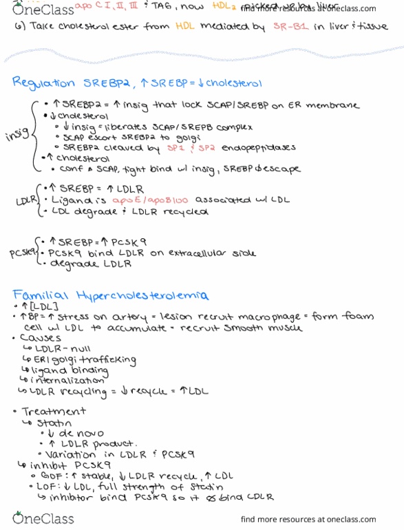 BCH 3120 Lecture Notes - Lecture 2: Pcsk9, Sterol Regulatory Element-Binding Protein, Familial Hypercholesterolemia thumbnail