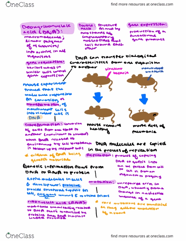 LIFESCI 7A Chapter Notes - Chapter 3: Macromolecule, Lincoln Near-Earth Asteroid Research, Cytosine thumbnail