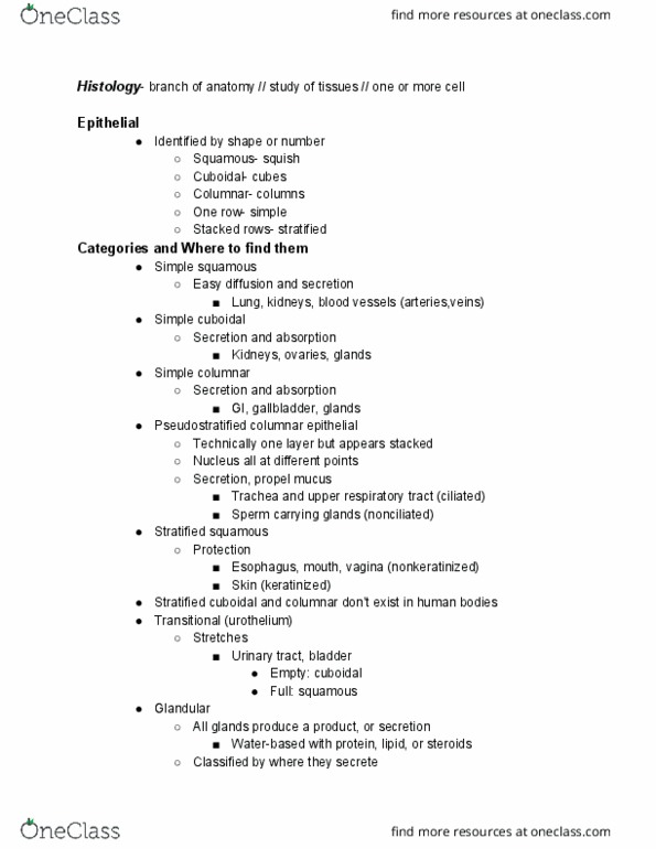 KAAP309 Lecture Notes - Lecture 2: Respiratory Tract, Urothelium, Trachea thumbnail