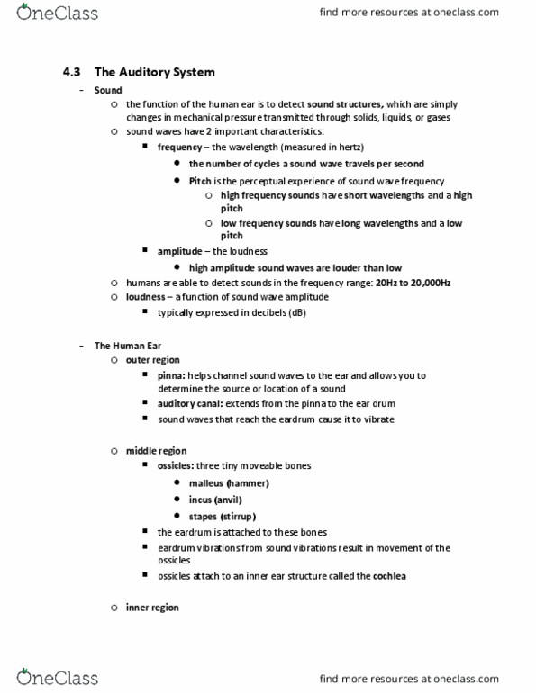 PSYA01H3 Chapter Notes - Chapter 4.3: Incus, Eardrum, Sound thumbnail