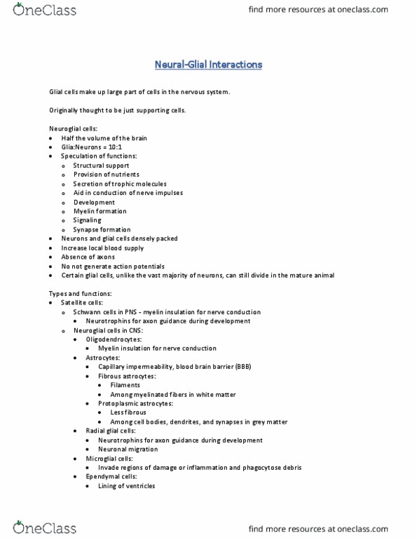 NEUR 3625 Lecture Notes - Lecture 6: Axon Guidance, Neurotrophin, Schwann Cell thumbnail