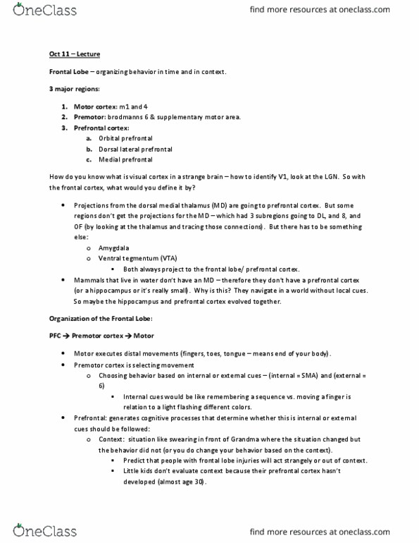 NEUR 3610 Lecture Notes - Lecture 9: Premotor Cortex, Supplementary Motor Area, Frontal Lobe thumbnail