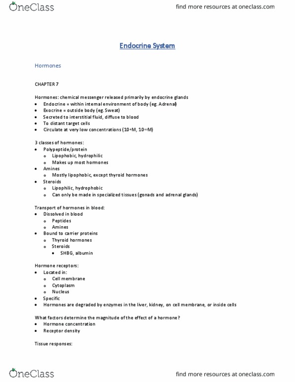 KNES 2610 Lecture Notes - Lecture 3: Thyroid, Adrenal Gland, Endocrine Gland thumbnail