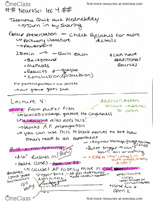 BMS 427 Lecture Notes - Lecture 4: Optogenetics, Membrane Potential thumbnail