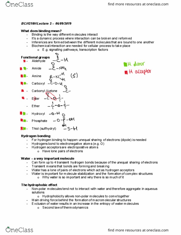 BCH210H1 Lecture Notes - Lecture 3: Electronegativity, Thiol, Aldehyde cover image