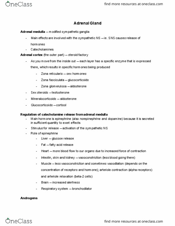 PSL300H1 Lecture Notes - Lecture 30: Zona Fasciculata, Zona Glomerulosa, Adrenal Medulla thumbnail