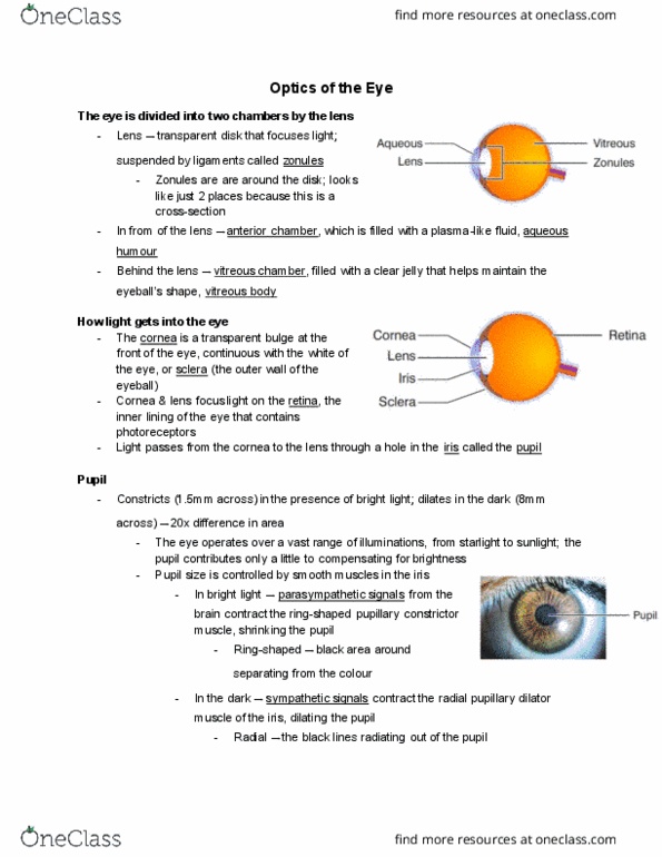 PSL300H1 Lecture Notes - Lecture 10: Aqueous Humour, Vitreous Body, Anterior Chamber Of Eyeball thumbnail