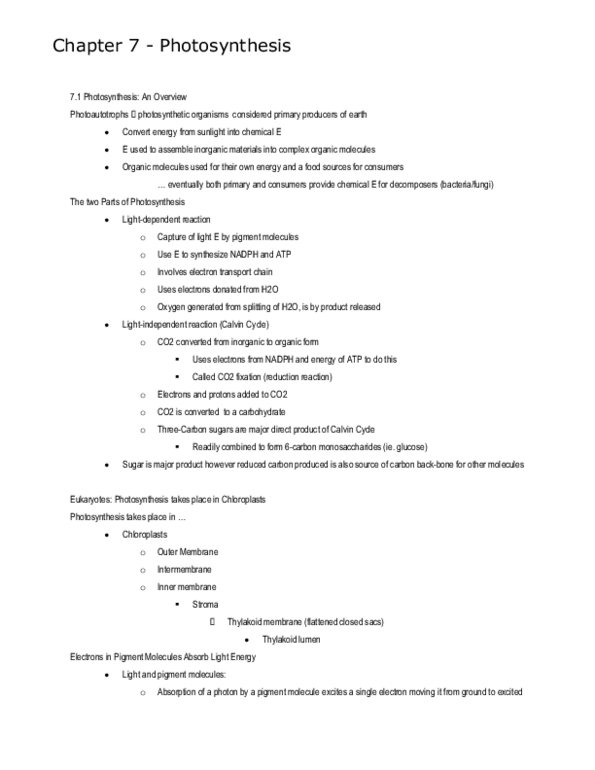 BIOL 1000 Chapter 7: Chapter 7 Notes on Photosynthesis thumbnail