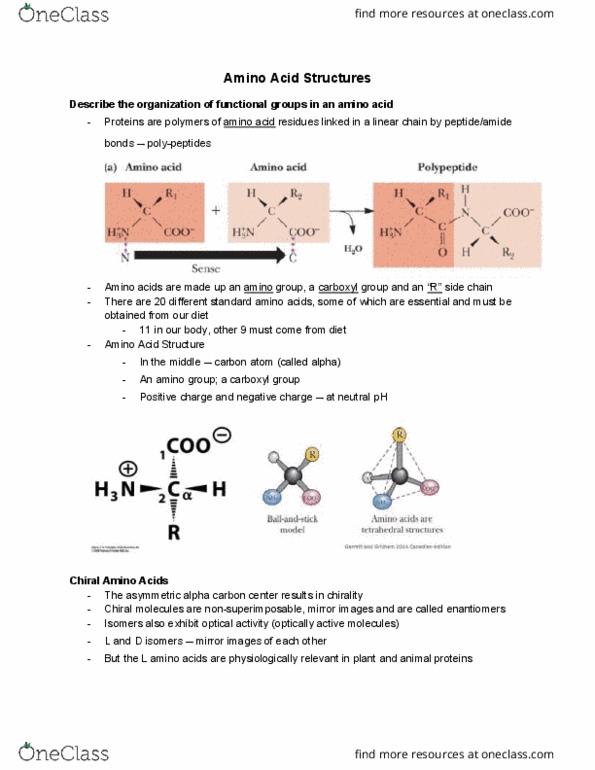 BCH210H1 Lecture Notes - Lecture 5: Alpha And Beta Carbon, Optical Rotation, Carboxylic Acid cover image