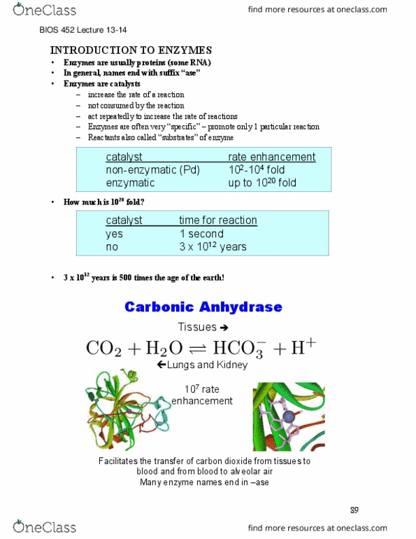 BIOS 452 Lecture Notes - Lecture 13: Enzyme, Enzyme Catalysis, Reaction Rate Constant thumbnail