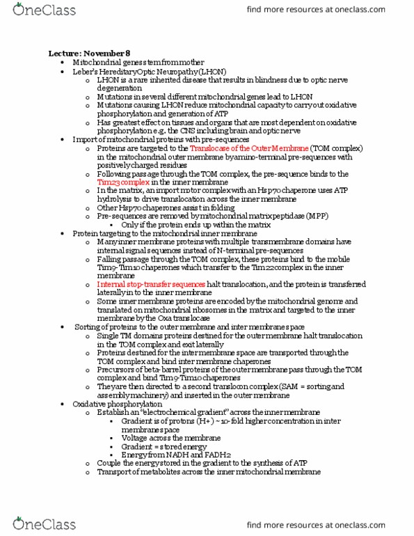 CAS BI 203 Lecture Notes - Lecture 20: Oxidative Phosphorylation, Electrochemical Gradient, Translocon thumbnail