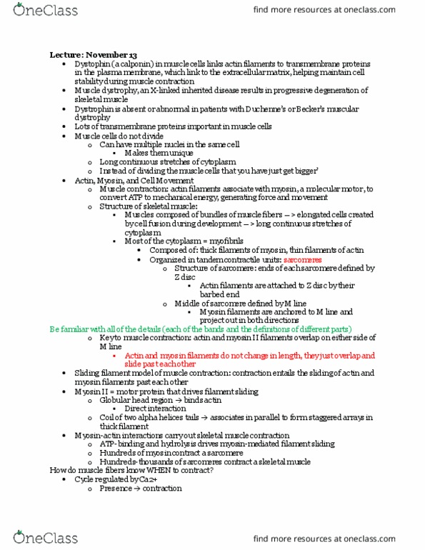 CAS BI 203 Lecture Notes - Lecture 21: Myosin, Calponin, Alpha Helix thumbnail