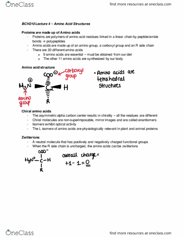 BCH210H1 Lecture Notes - Lecture 5: Zwitterion, Optical Rotation, Alpha And Beta Carbon thumbnail